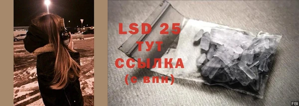 сатива Горняк