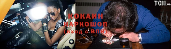 сатива Горняк
