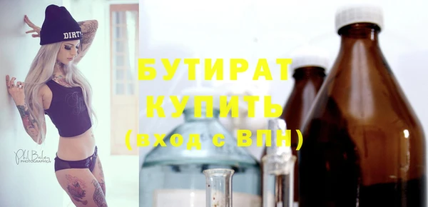 сатива Горняк