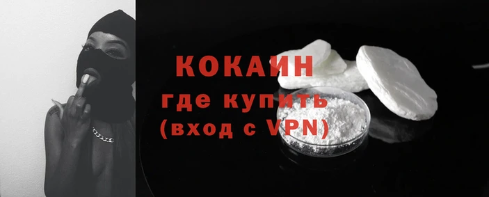 сатива Горняк