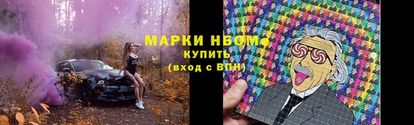 сатива Горняк