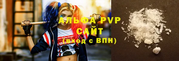 сатива Горняк