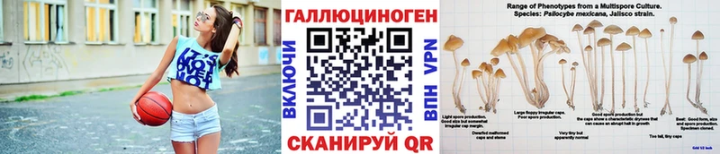 Псилоцибиновые грибы Magic Shrooms  Меленки 